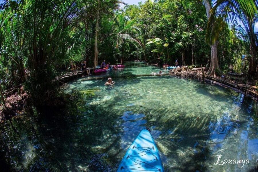 Krabi kayaking and swimming clongrood Tour - Who should book this kayaking and swimming tour