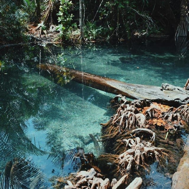 Krabi kayaking and swimming clongrood Tour - Getting to the start: Ao Nang tuk-tuk comfort matters