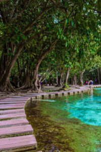 Krabi: Kayaking, Crystal Lagoon, and Fish Spa in Klong Root - Kayaking the Lagoon-Like Waters: How the Paddle Time Plays