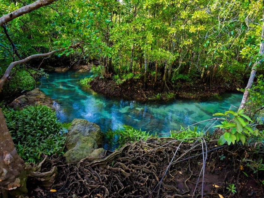 Krabi: Kayaking, Crystal Lagoon, and Fish Spa in Klong Root - Should You Book This Krabi Kayaking, Crystal Lagoon, and Fish Spa Tour?