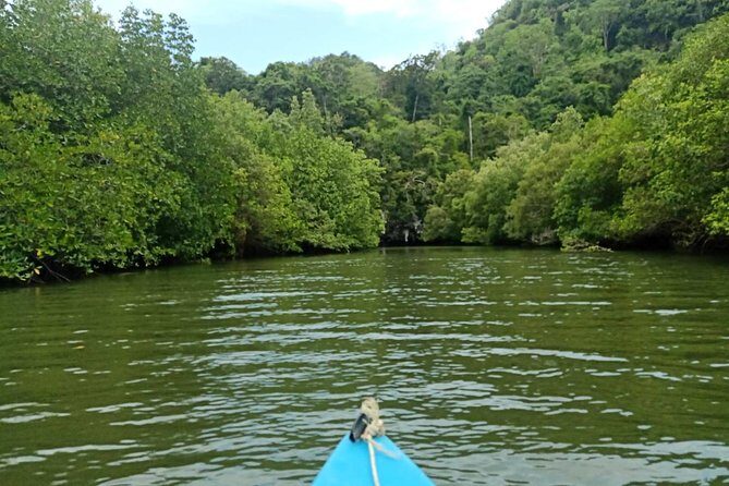 Krabi: Kayaking Tour at Ban Bor Thor Ancient Cave & Mangroves - Effort Level and What to Bring for a Cave Kayak