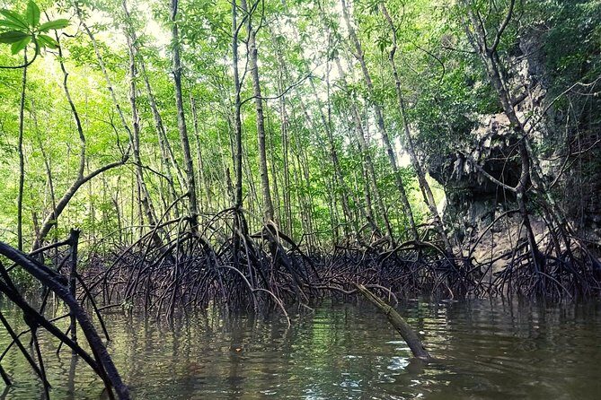 Krabi: Kayaking Tour at Ban Bor Thor Ancient Cave & Mangroves - Guide Quality: What Chan and Maan Tend to Get Right