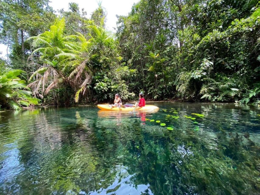 Krabi: Khlong Nam Sai Lagoon with Kayaking & Optional ATV - Entering Khlong Nam Sai: why this lagoon feels different from Krabi’s usual loop
