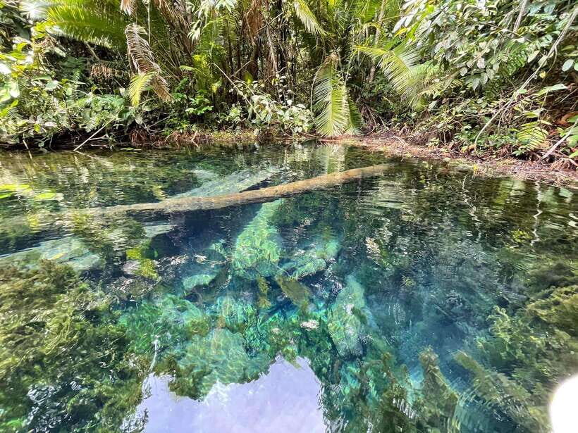 Krabi: Klong Root (Crystal lake) Kayaking tour - Key highlights to know before you go