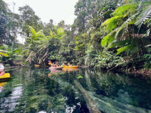 Krabi: Klong Root (Crystal lake) Kayaking tour - Swim stops in crystal ponds (with fish you can actually see)