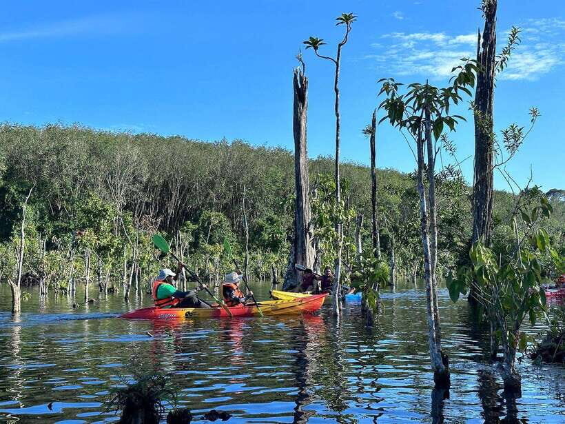 Krabi: Klong Root (Crystal lake) Kayaking tour - The forest route: mangroves, tree trunks, and a guide who actually helps