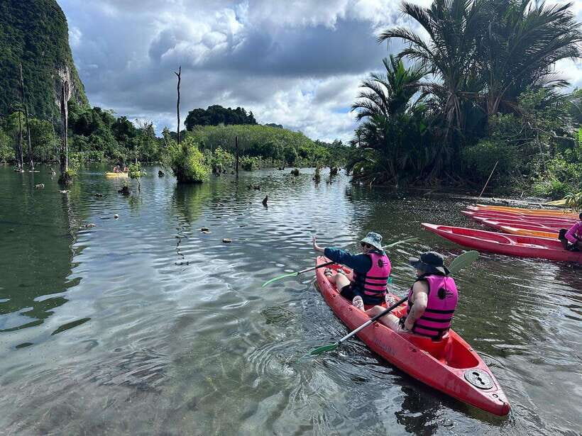 Krabi: Klong Root (Crystal lake) Kayaking tour - Pineapple plantation stop: the fruit part of Krabi