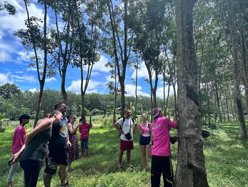 Krabi: Klong Root Kayaking Viewpoint,Fish Feeding and more - Quick takeaways before you go
