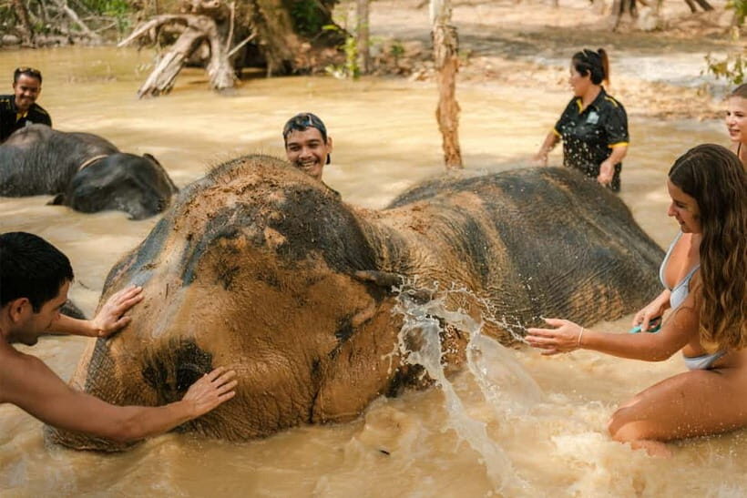 Krabi: Love Elephant Sanctuary Tour - Key highlights worth caring about