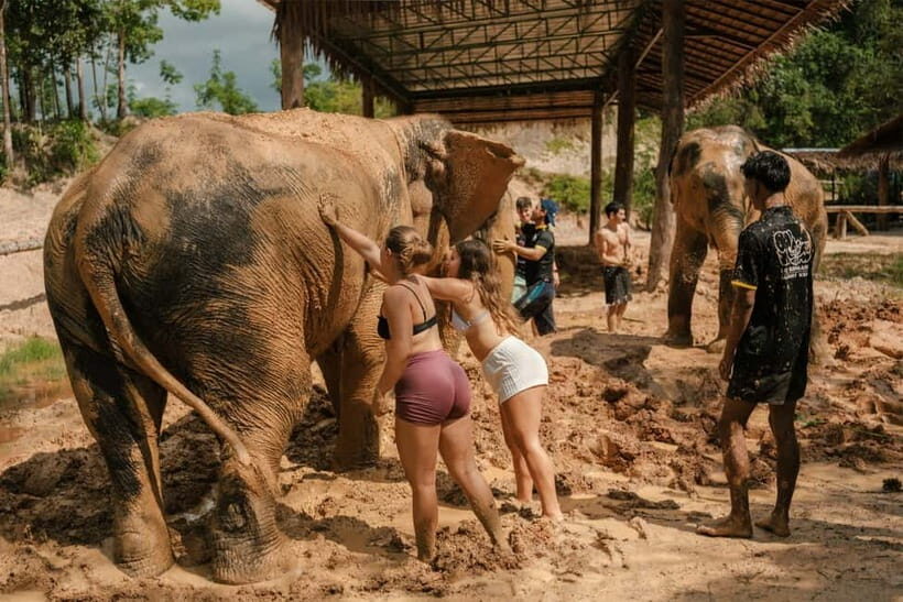 Krabi: Love Elephant Sanctuary Tour - Price and value: what $51 buys (and what it doesn’t)