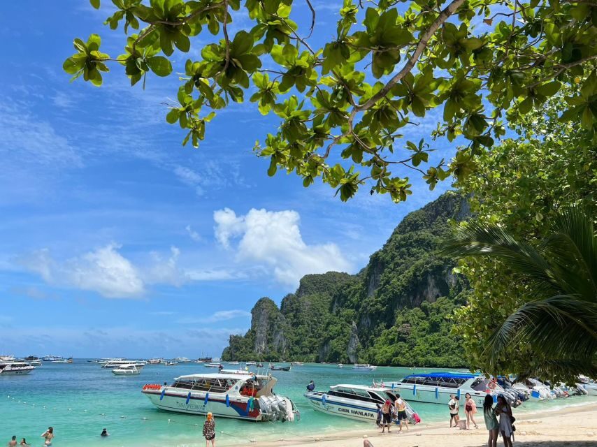 Krabi: One Day Phi Phi Island by speed boat ( Join ) - Key highlights worth your time