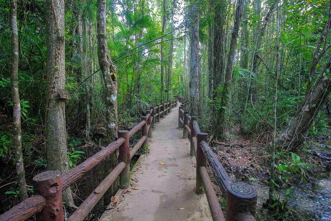 Krabi Outback Explorer to Emerald Pool, Wareerak Hotspring and Beyond - Tiger Cave Temple (Wat Tham Suea): monks, stairs, and real Krabi heat