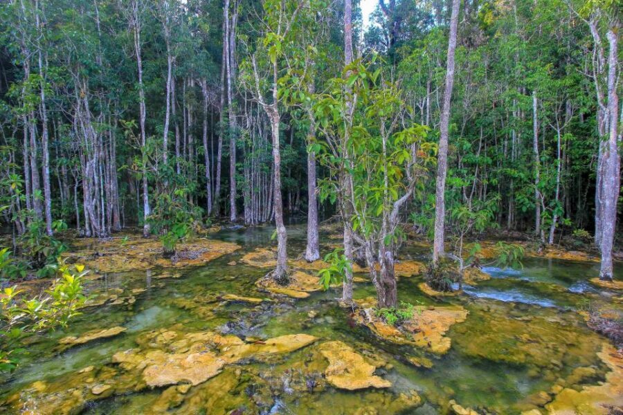 Krabi Outback Explorer with Visit of Tiger Cave Temple - Blue Pool Walk: A Short Hike With Seasonal Timing