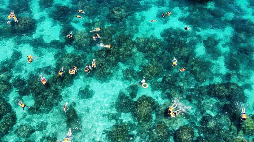 Krabi: Phi Phi and 4 Islands with Snorkeling by Speed Boat - Key highlights you will feel right away