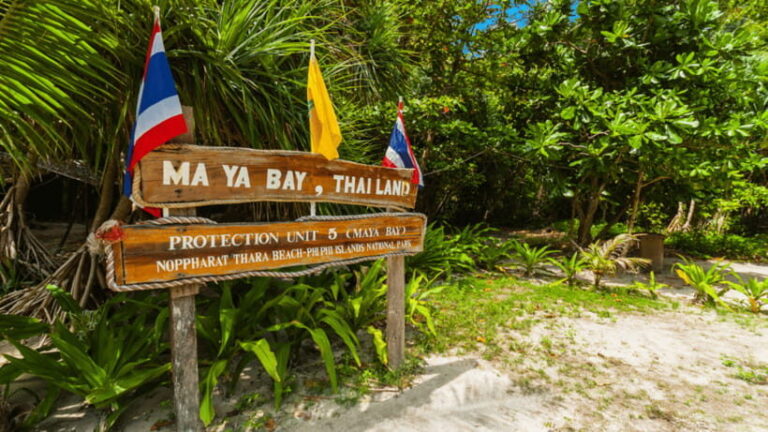 Krabi Phi Phi & Bamboo Island One Day Tour By Speed Boat - Bamboo Island: the one-hour white-sand break that starts strong