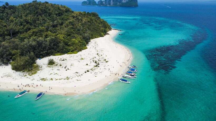 Krabi: Phi Phi Islands Speedboat Tour with Buffet Lunch - Key takeaways before you go