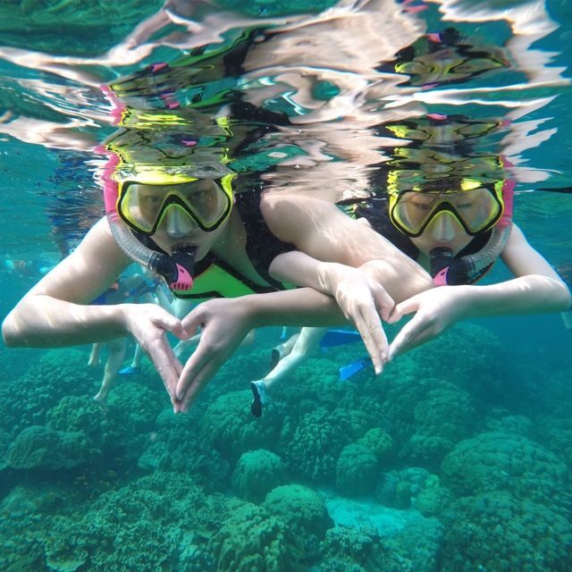 Krabi: Phi Phi Islands Speedboat Tour with Buffet Lunch - Viking Cave: swiftlet nests and a very specific local industry