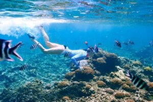 Krabi: Premium Phi Phi Islands Day Trip with Lunch & Snorkel - From Krabi to the pier: pickup timing in Ao Nang and Krabi Town