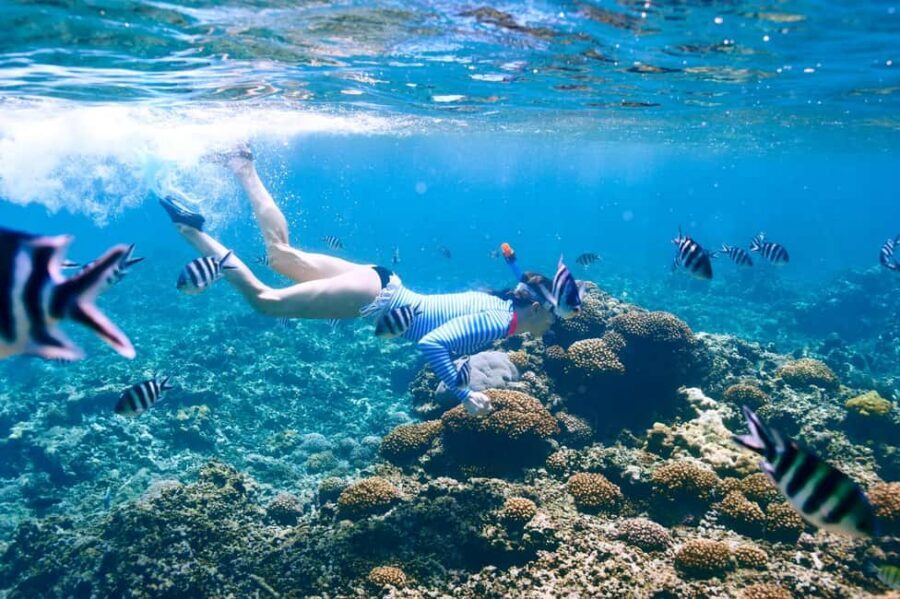 Krabi: Premium Phi Phi Islands Day Trip with Lunch & Snorkel - From Krabi to the pier: pickup timing in Ao Nang and Krabi Town
