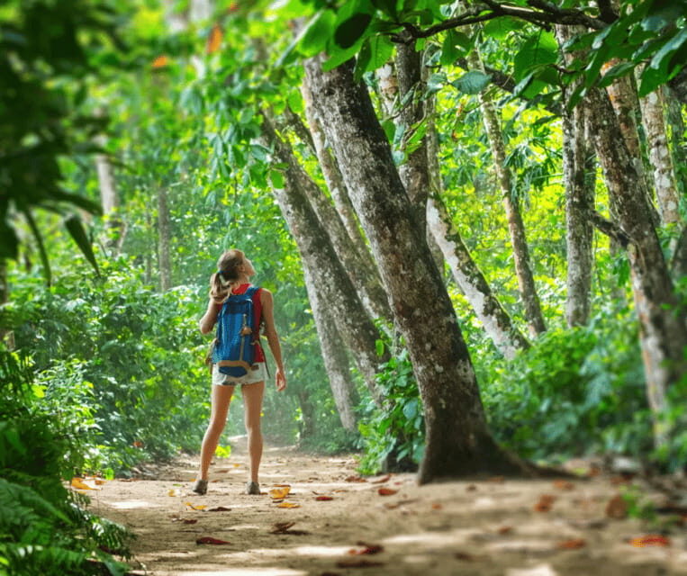 Krabi: Rainforest Jungle Tour with Emerald Pool & Hot Spring - Who This Tour Fits Best
