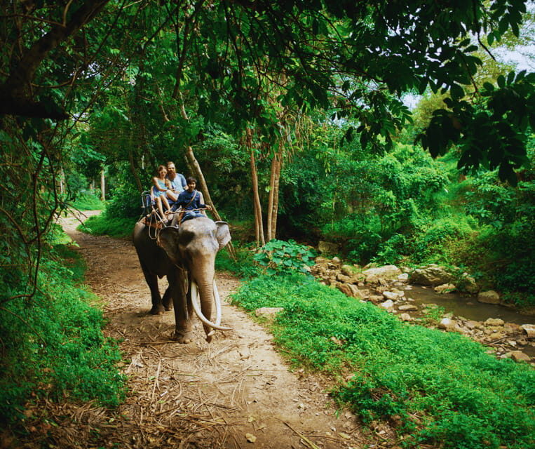 Krabi: Rainforest Jungle Tour with Emerald Pool & Hot Spring - Practical Tips So You Don’t Feel Rushed