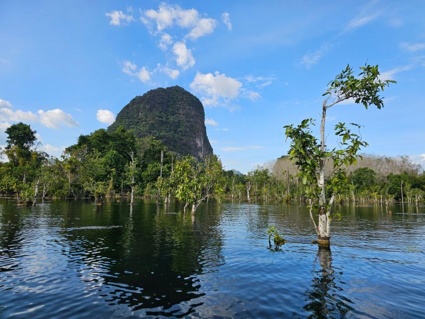 Krabi: South Kayak Klong Root Kayaking Tour - Klong Root by Kayak: What the Hour Feels Like in Krabi