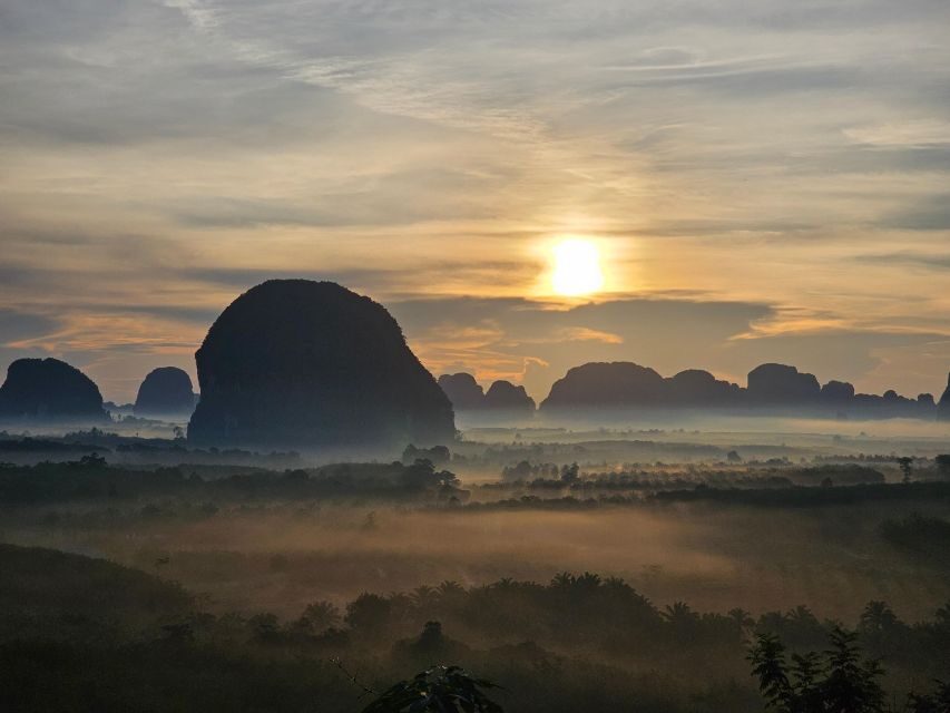 Krabi: South Kayak Klong Root Kayaking Tour - Should You Book the Krabi South Kayak Klong Root Tour?