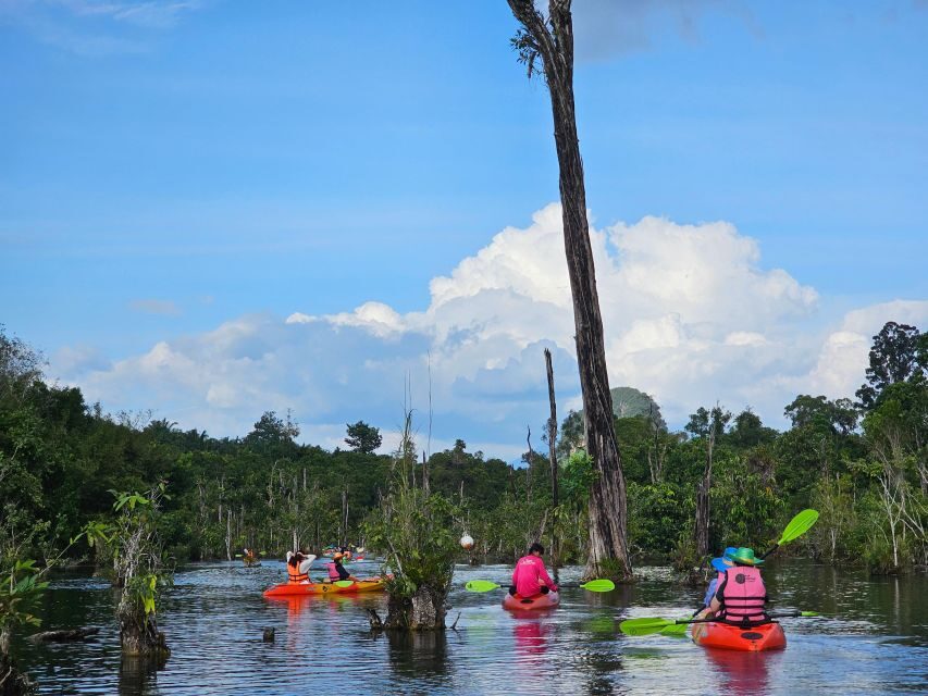 Krabi: South Kayak Klong Root Kayaking Tour - What’s Included: Kayak, Insurance, Staff, Audio, and Seasonal Fruits