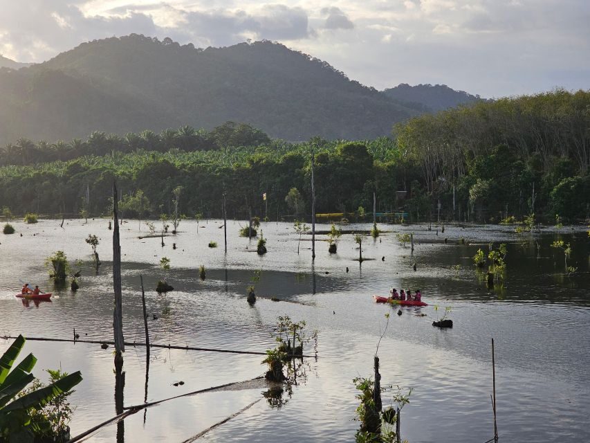 Krabi: South Kayak Klong Root Kayaking Tour - Entrance Fee and Pickup Surcharges: Budget Without Surprises