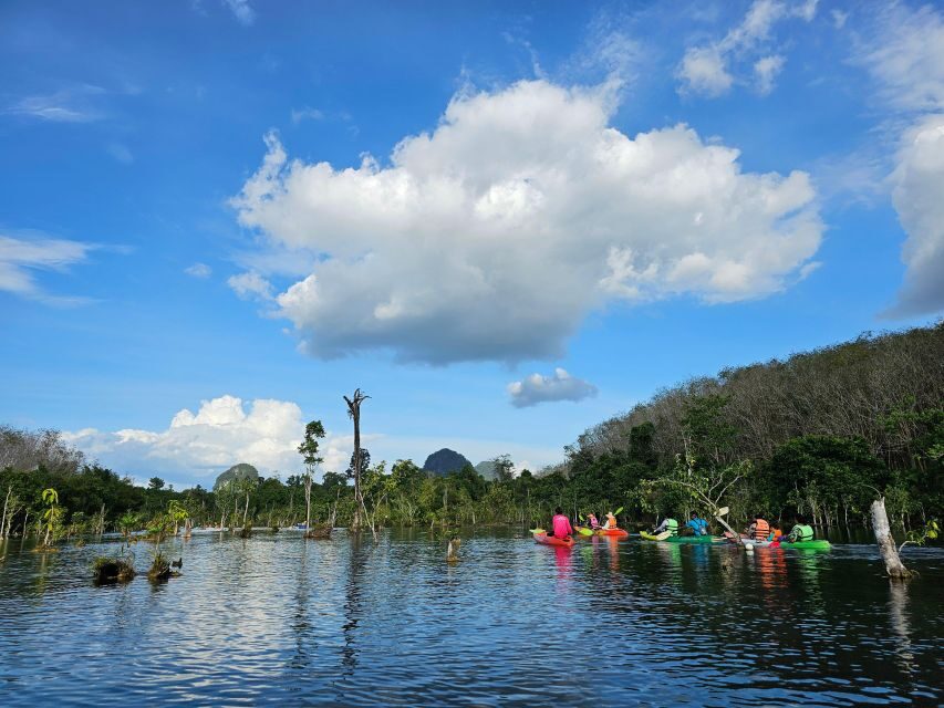 Krabi: South Kayak Klong Root Kayaking Tour - The On-Water Experience: How the Kayak Portion Plays Out