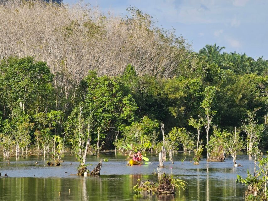Krabi: South Kayak Klong Root Kayaking Tour - Who This Tour Suits Best (And Who Should Choose Another Plan)