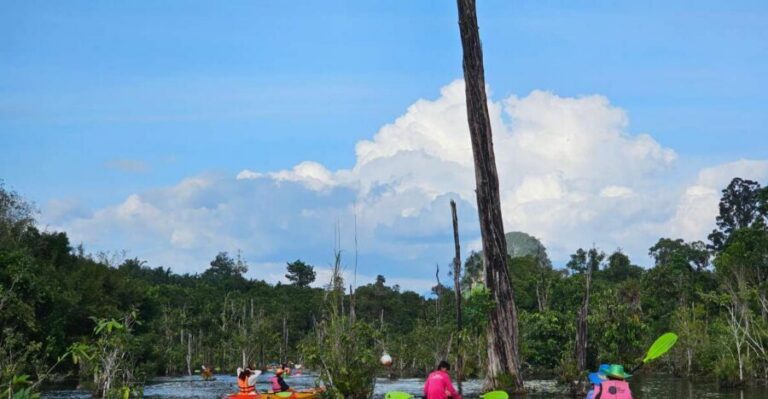 Krabi: South Kayak Klong Root Kayaking Tour - Your Pickup and Timing From Ao Nang (08:30, 12:00, 15:00)