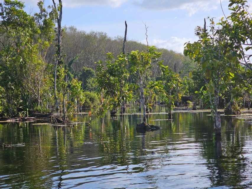 Krabi: South Kayak Klong Root Kayaking Tour - Pair It With Elephant Bath or ATV Fun in Your Broader Plan