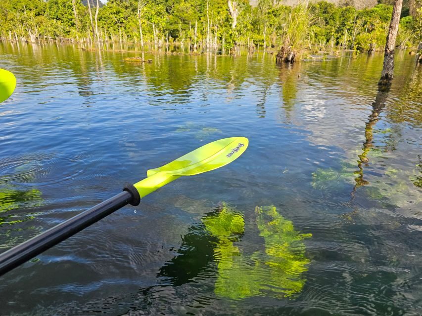 Krabi: South Kayak Klong Root Kayaking Tour - Is It Worth $18? A Practical Value Check