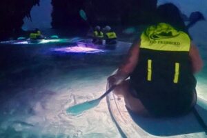 Krabi Stand-Up Paddleboard Illuminated Night Tour - Freebird Paddle Co. at Railay Beach: your 2-hour game plan