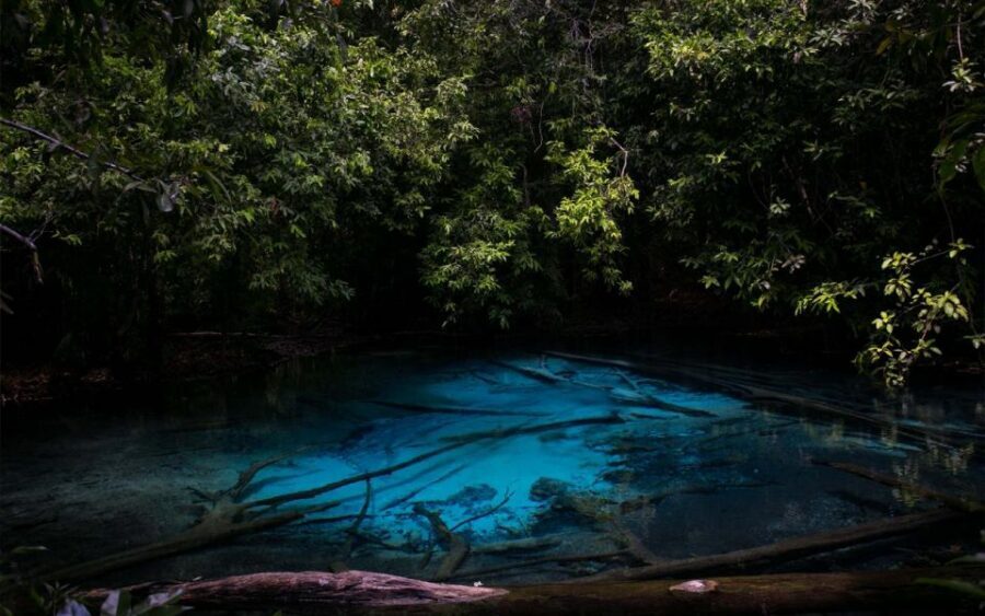 Krabi: Tiger Cave, Hot Springs and Emerald Pool Jungle Tour - Getting from pickup to the rainforest: the practical flow