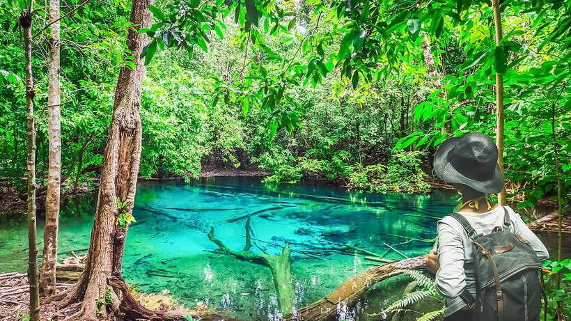 Krabi: Tiger Cave Temple, Emerald Pool and Hot Springs Tour - Blue Lagoon: shaded roots, easy strolling, strong photo energy
