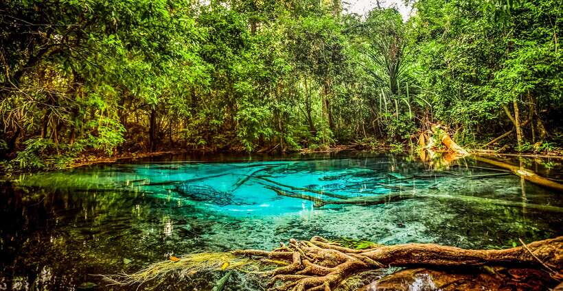 Krabi: Tiger Cave Temple, Emerald Pool and Hot Springs Tour - Lunch at a local restaurant: plan for paid food, not included meals