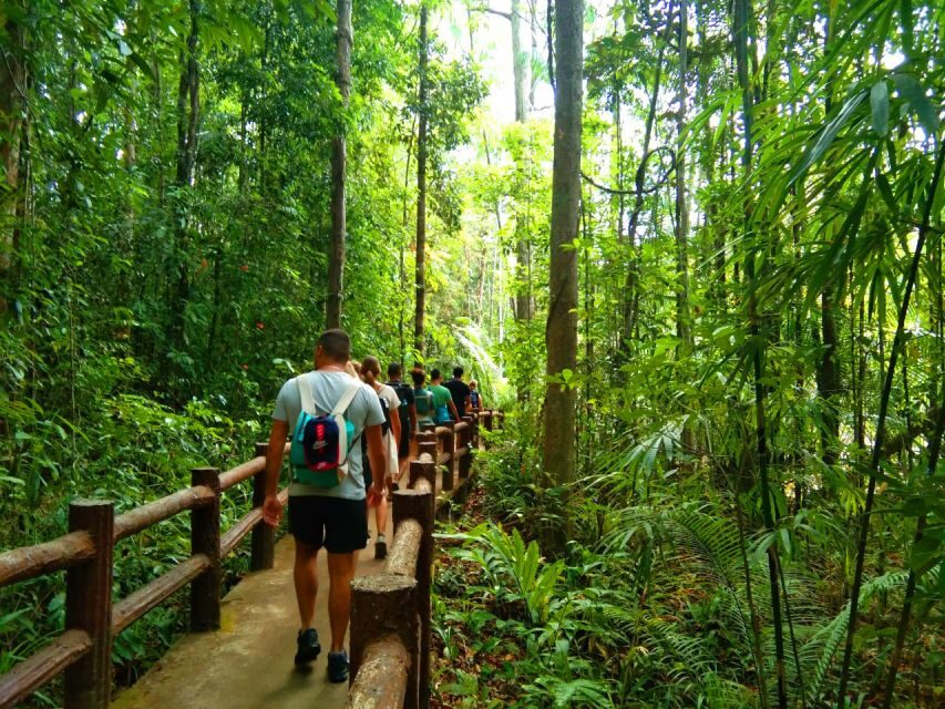 Krabi: Tiger Temple, Hot Springs & Crystal Pool Jungle Tour - Three Krabi hits in one day: Emerald Pool, Klong Thom hot springs, Tiger Cave Temple