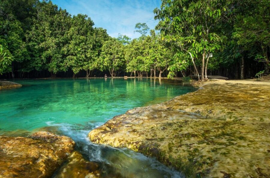 Krabi: Tiger Temple, Hot Springs & Crystal Pool Jungle Tour - Guide power: why Bee, Palm, Bam, and Henry matter on this route