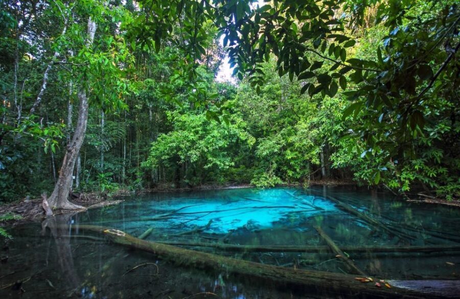 Krabi: Tiger Temple, Hot Springs & Crystal Pool Jungle Tour - Timing, crowds, and why your day can run longer than “7 hours”