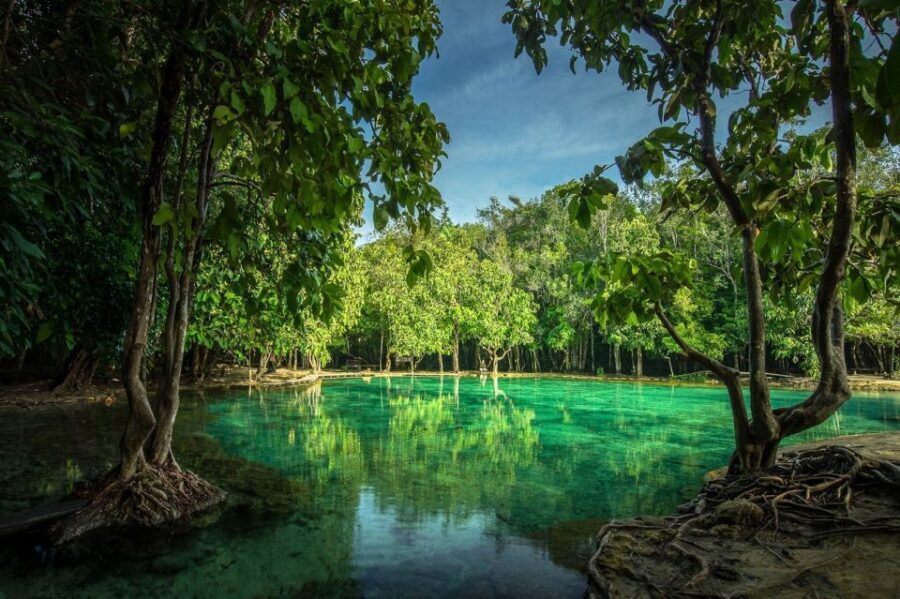 Krabi: Tiger Temple, Hot Springs & Crystal Pool Jungle Tour - Klong Thom hot springs and the 40°C hot stream waterfall