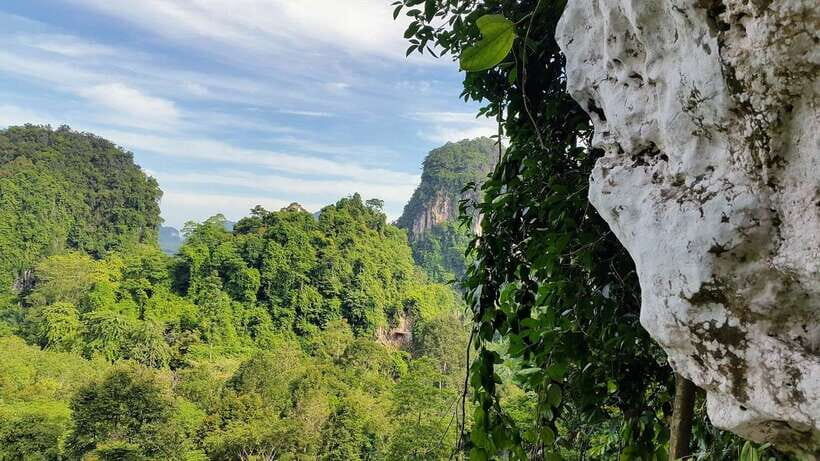 Krabi: Ziplining with Abseiling and Rock Climbing Options - What to bring (and what not to bring) so the day runs smoothly