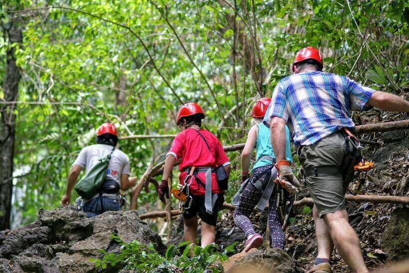 Krabi: Ziplining with Abseiling and Rock Climbing Options - The full 11-cable circuit and why the tree ladder matters