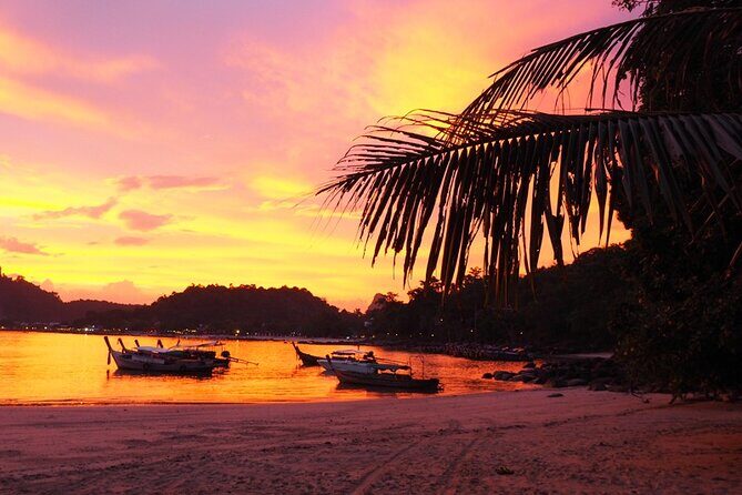 Phi Phi 4 Islands Sunset Tour with Bioluminescent Plankton - Boat-and-crew reality: group size, timing, and why a guide matters