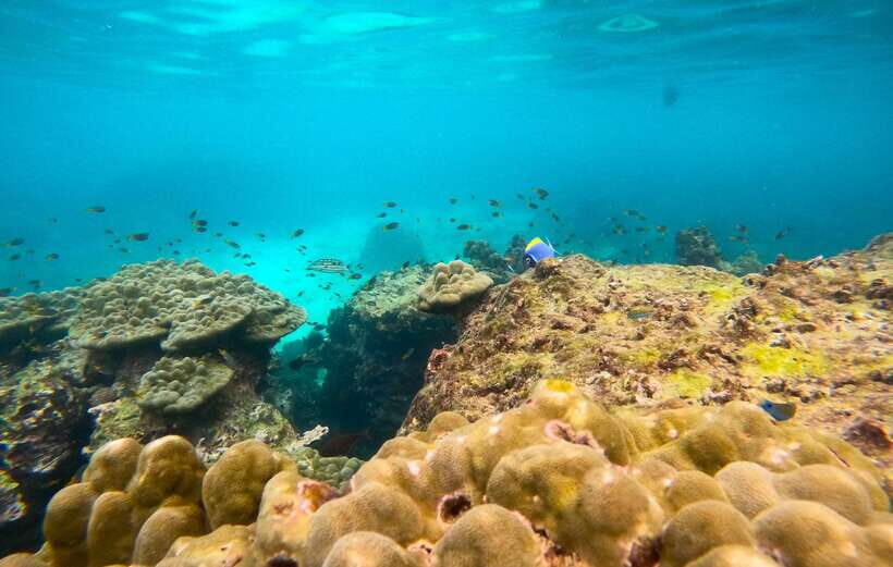 Phi Phi: Half-Day Tour with Maya Bay, Pileh Lagoon & Snorkel - The smaller stops: Loh Samah and why “short” still matters