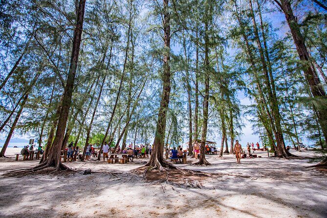 Phi Phi Island and Bamboo Island Snorkeling Tour From Krabi - Ko Phi Phi Don lunch (2 hours): buffet reset on Phi Phi Don