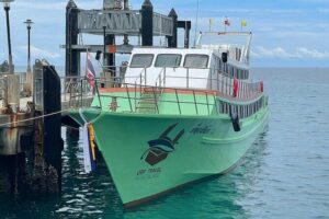 Phi Phi Island to Krabi Town by Ferry - Tonsai Pier Check-In: Where Your Day Starts