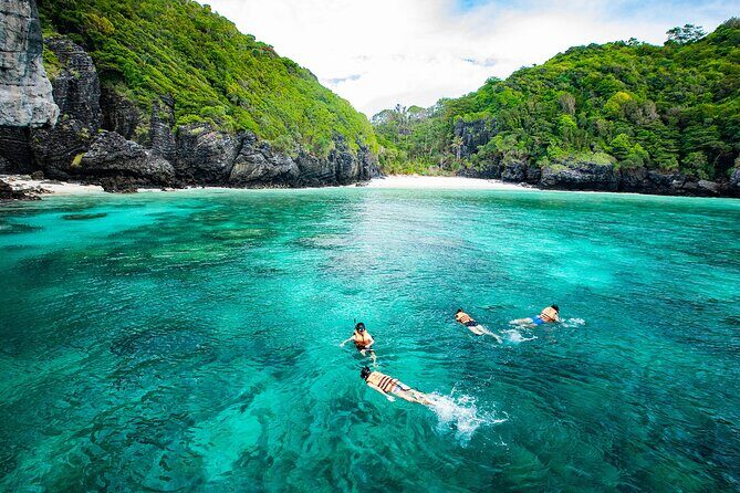 Phi Phi Islands One Day Tour By Speedboat from Krabi - Loh Samah Bay: another snorkel window with reef and fish