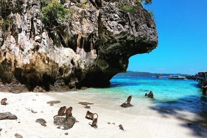 Phi Phi Islands Speedboat Tour Adventure from Krabi - Phi Phi Don Lunch: The Food Stop That Makes the Whole Day Easier